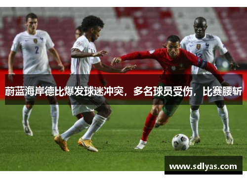 蔚蓝海岸德比爆发球迷冲突，多名球员受伤，比赛腰斩
